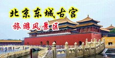 淫荡3p大鸡巴视中国北京-东城古宫旅游风景区